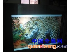 “魔镜”镜面投影膜