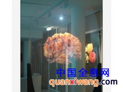 全息屏幕进口