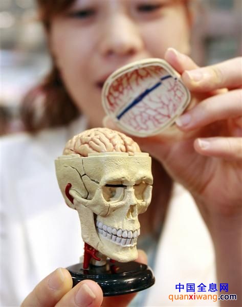 看现在的小孩都玩啥 东京玩具展探秘
