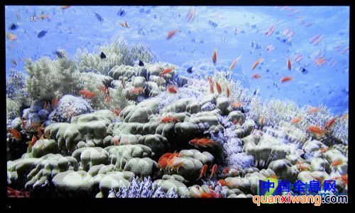 蓝光机评测