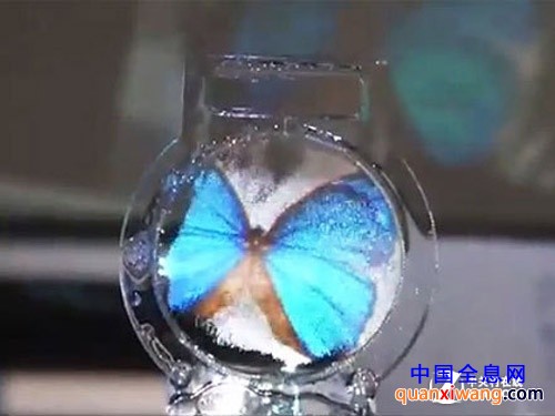 肥皂泡投影