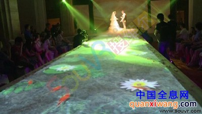 地上逼真的游鱼和荷花，均为电脑打造的3D效果