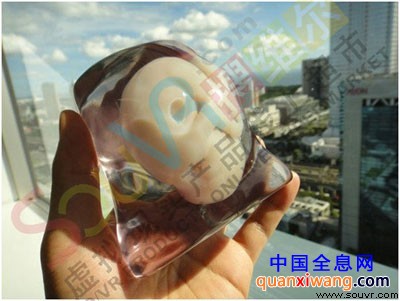 3D打印胎儿模型