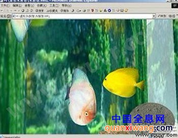 虚拟水族馆虚拟鱼在游动