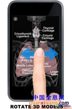 App今日免费:探知人体奥秘 3D器官模型