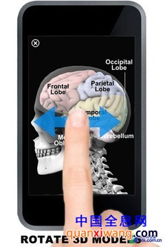 App今日免费:探知人体奥秘 3D器官模型