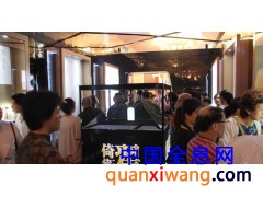 幻影成像 幻影成像哪里有 全息投影 虚拟成像技术图3