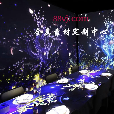 全息投影，餐厅全息投影，88vj全息投影素材网站图2