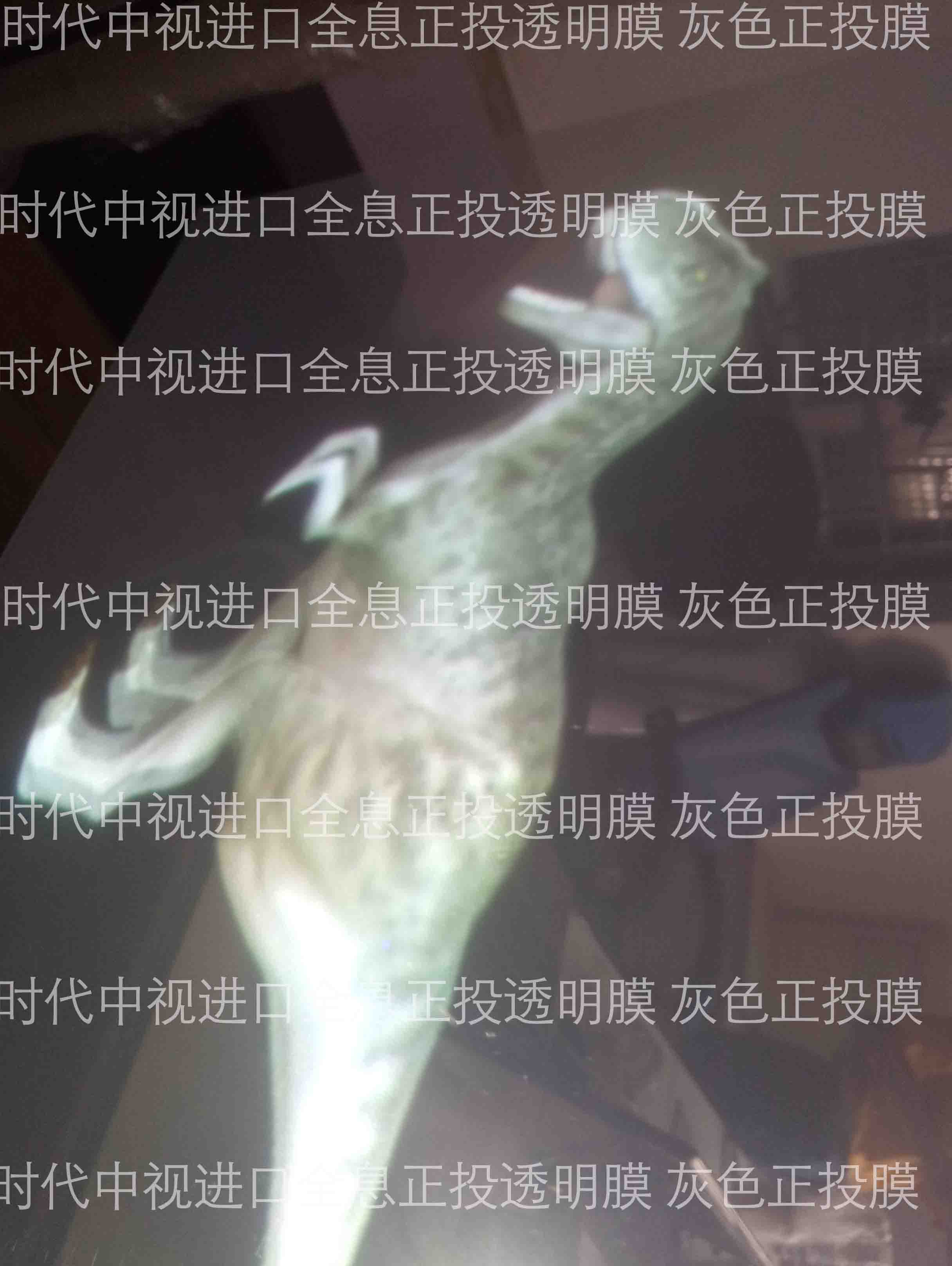 深圳全息投影膜 全息膜 全息投影幕 可以任意裁剪的韩国全息膜图2